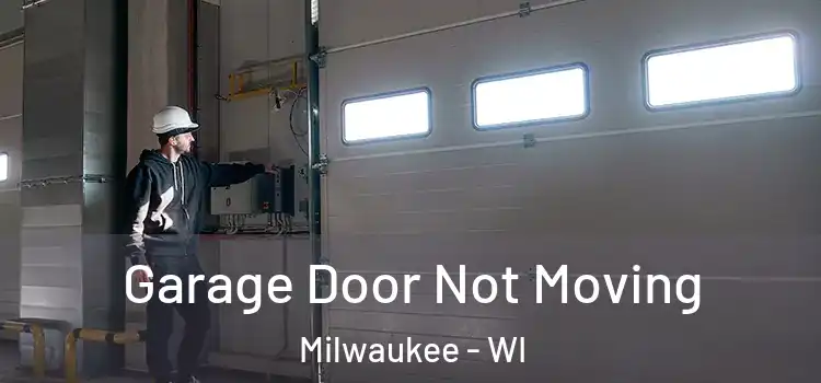  Garage Door Not Moving Milwaukee - WI