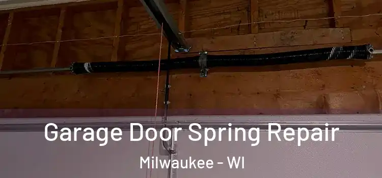  Garage Door Spring Repair Milwaukee - WI